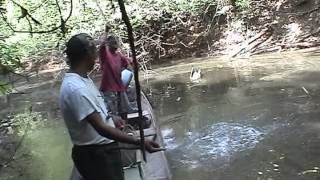 Guyana Yours to Discover 2007