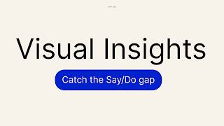 Introducing Visual Insights: Catch the Say/Do Gap