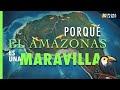 Porque es Importante El Amazonas