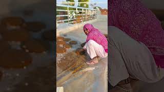 Kabootar - Renuka Panwar, Pranjal Dahiya, Vivek, Surender Romio, Aman Jaji,