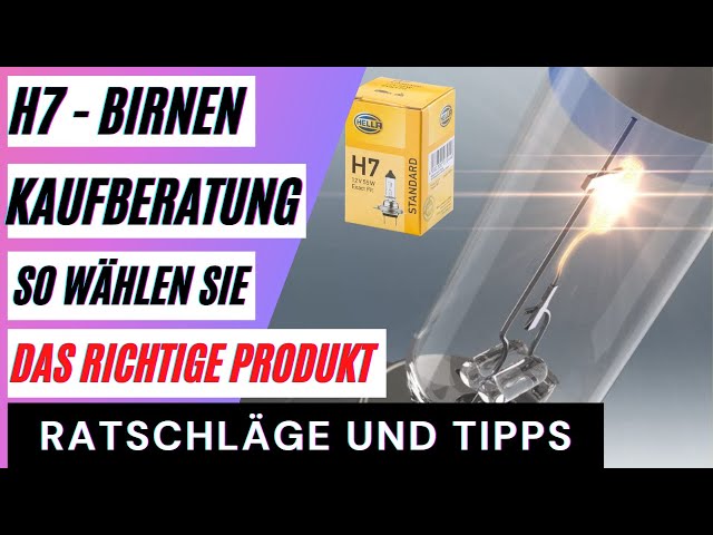 H7-Birnen Kaufberatung. So wählen Sie das richtige Produkt. Die