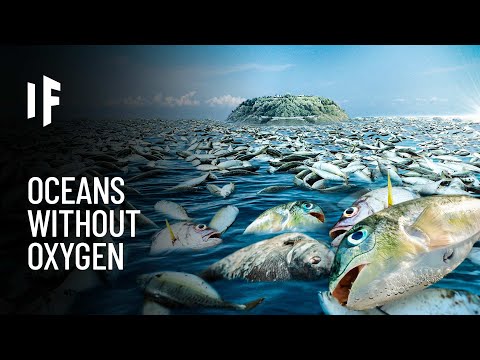 Video: By The End Of The Century, The World's Oceans May Lose Up To 7% Of Oxygen - Alternative View