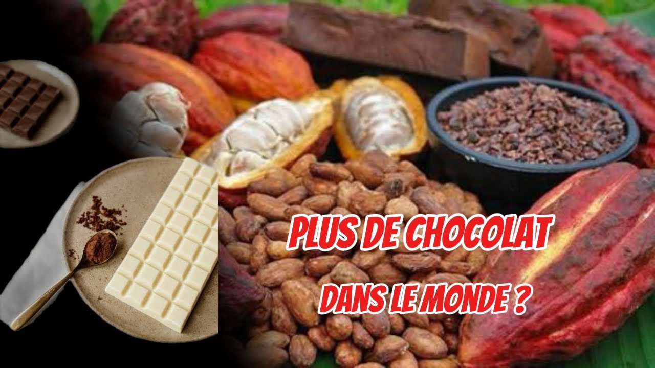 Cacao en crise : la Côte d’Ivoire face à un dilemme historique 