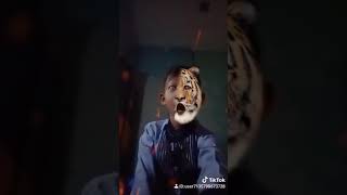 Akulah serigala