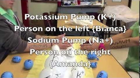 Modeling action potential 1
