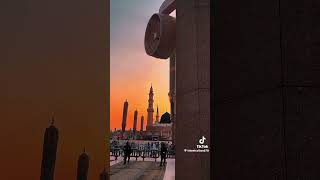 Assalamu alaika ya Rasul Allah #shotrs #love #lovemohammad #peace #beautiful #best