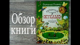 Репортаж со стадиона &quot;Жукамо&quot; и другие лесные истории В.Бианки / Роскошная книга о букашках