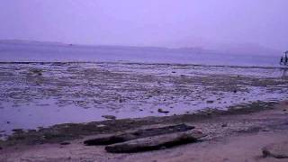 PICT0164.AVI