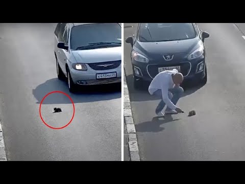 Camera Catches Man Stopping His Car On Busy Road To Save A Kitten’s Life