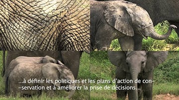 The IUCN Red List: Guiding Conservation for 50 years -  french subtitles