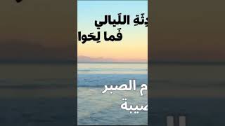 دع الأيام تفعل ما تشاء للصف السادس الابتدائي منهج جديد 2024 @asmaa-sabry