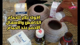 وداعا للحمام الكاشش وللي عندو اسهال اخضر مع العلاج دا انسي امراض الحمام