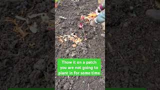 Composting directly in the ground