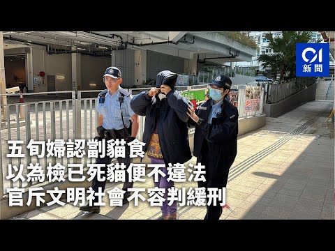 五旬婦認劏貓食　以為檢已死貓便不違法　官斥文明社會不容判緩刑｜01新聞｜貓肉｜老婦｜動物｜白田邨｜法庭