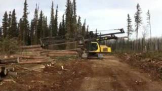 Delimber working Northern Alberta