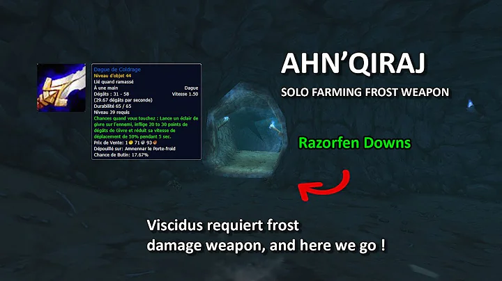 Solo farm frost weapon damage pour "Viscidus" AQ40 - Coldrage dagger
