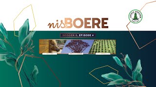 Nisboere 8 Episode 04
