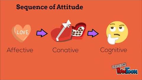 Tri-Component Model of Attitudes