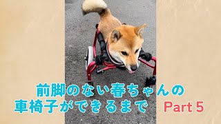 前脚のない春ちゃんの車椅子が出来るまで　Part5