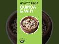 How to Rinse Quinoa & Why (Salt Bath Method)