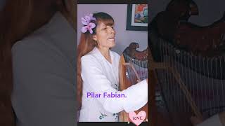#arpa #musicaperuana #musica #folklore #huaynosperuanos.