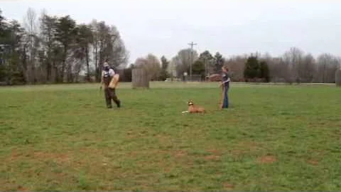 Escape bite