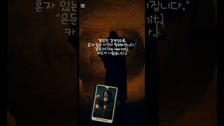 #시타타로 #타로챌린지 #운명바꾸기   #은둔자카드 #은둔자카드챌린지 #고요한시간 #내면의소리   #감정정리 #자기탐색 #타로카드리딩
