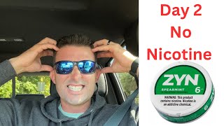 Quitting ZYN and Nicotine Day 2