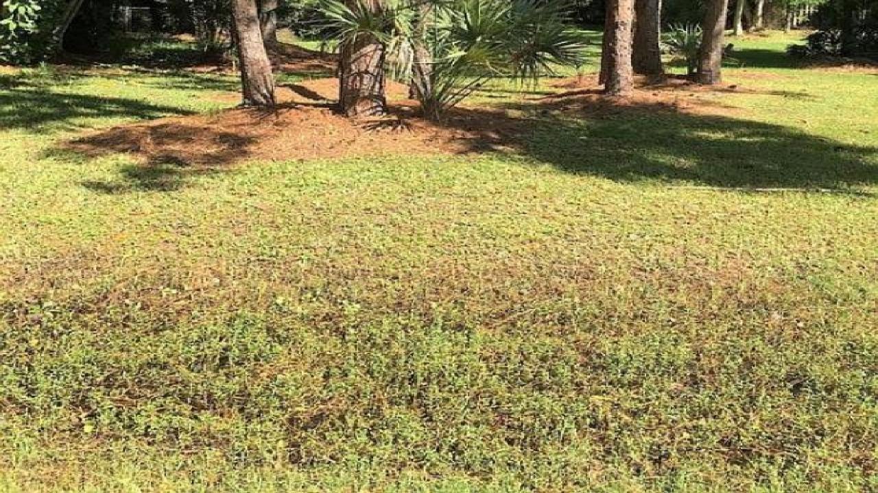 Naples Park Pool Home - Blocks to Vaderbilt Beach - New Home!