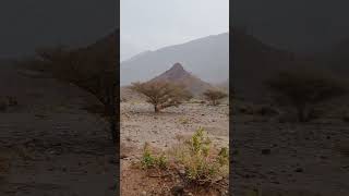 اجواء عمان الماطره | استعدوا بناخذكم بجوله ممطره بولايه الرستاق 14/4/2023