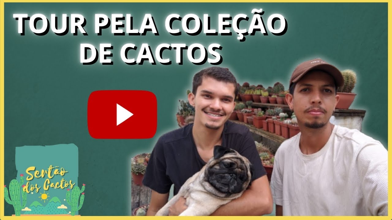 Tour pela Coleção de Cactos 🏜️