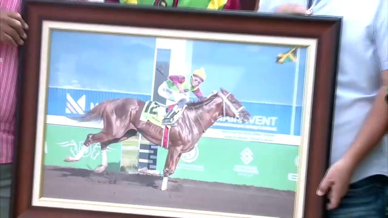 Caymanas Park Jamaica | Saturday, March 7, 2026