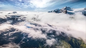 How To Do Full Scan / Quick Scan (Bitdefender Antivirus For Mac)