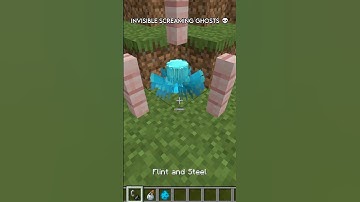 This is what happens when you give Vexes invisibility…