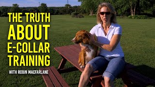 The TRUTH About E-Collar Training: What You Need to Know