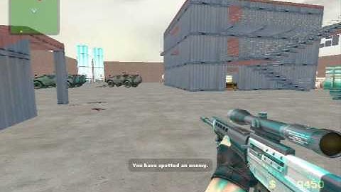 CSS training session.