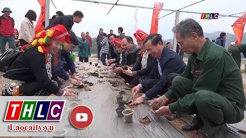 Xã Sơn Hải (Bảo Thắng) đạt chuẩn nông thôn mới nâng cao | THLC