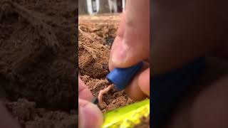 Silicone Filled Wire Connectors Are Game Changers For Low Voltage Landscape Lights shorts diy