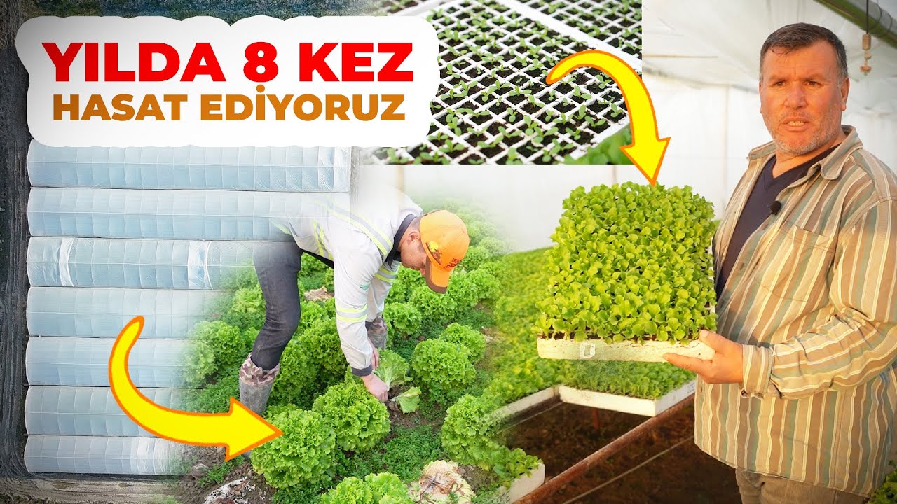 Benden Sonra Roka Üretimi Yapan Beni Geçmesi Lazım | Naylonun Altında YANACAKSIN Dediler | Seracılık