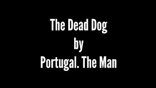 The Dead Dog by Portugal. The Man - Lyric Video