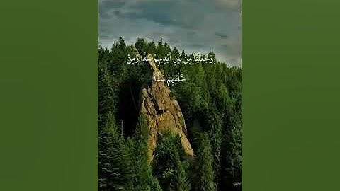 القارئ سالم الرويلي - سورة يس | مقاطع قرآن قصيرة وحالات واتس إسلامية 🌱