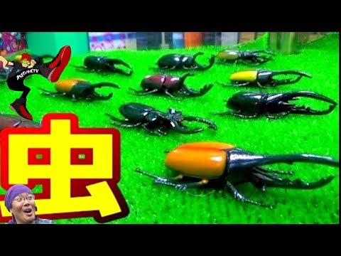 UFOキャッチャー カブト虫をクレーンゲームでGETするコツを教えます