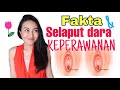 SELAPUT DARA & KEPERAWANAN | Clarin Hayes