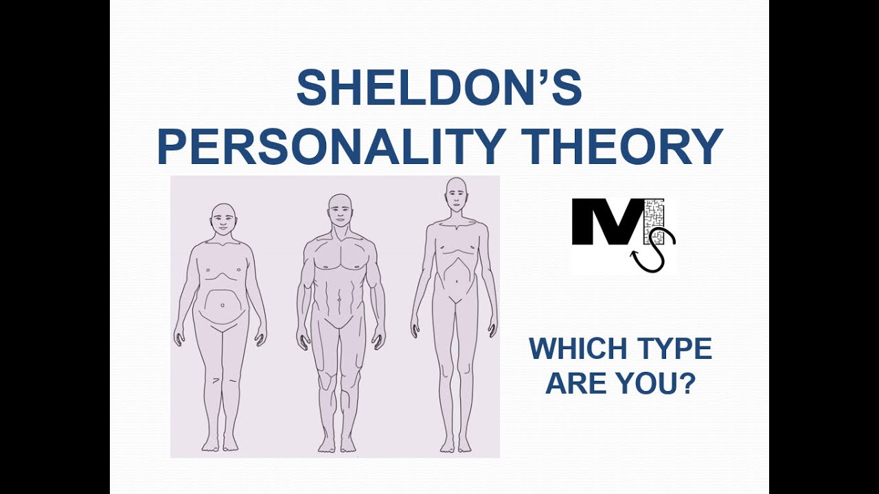 Sheldons Personality Theory   Simplest explanation Ever