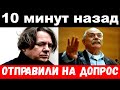 10 минут назад / чп, помятого Эрнста доставили на допрос в полицию