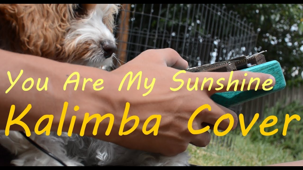 Kalimba Cover You Are My Sunshine