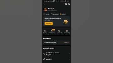 How to change the theme of the Bybit app?