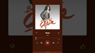 Çeli̇k Hercai̇
