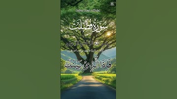 سورة فصّلت #quran #اكسبلور #کورد #kurdistan #العراق #السعودية #الجزائر #المغرب #القرآن_الكريم #fyp
