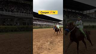 Аламан Бәйгеден Бірінші Келген: Секрет 🔥🐎 #Бәйге #Сәйгүлік #Ат #Арғымақ #Жылқы